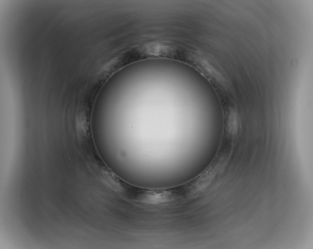 X0000112170569200908071200