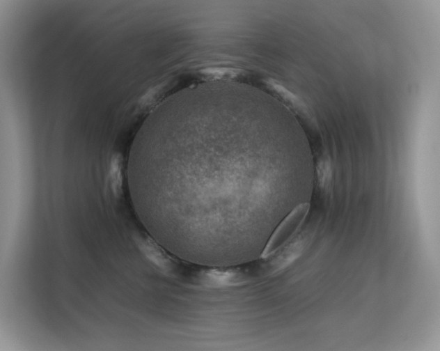 X0000112170570200908071200