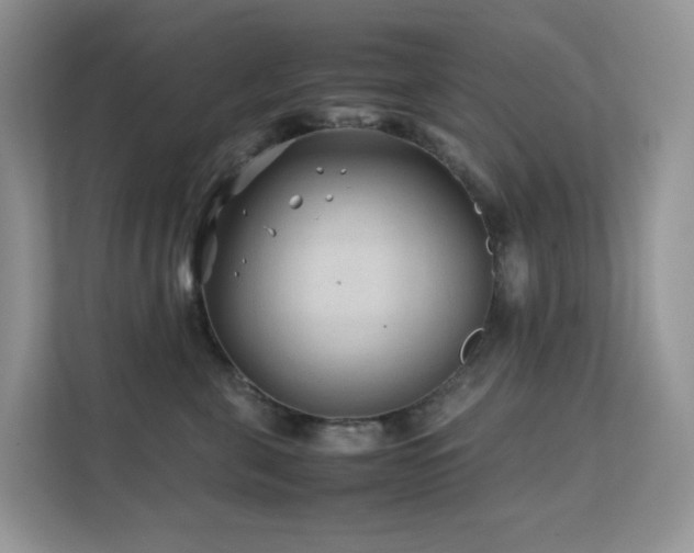 X0000112170571200908071200