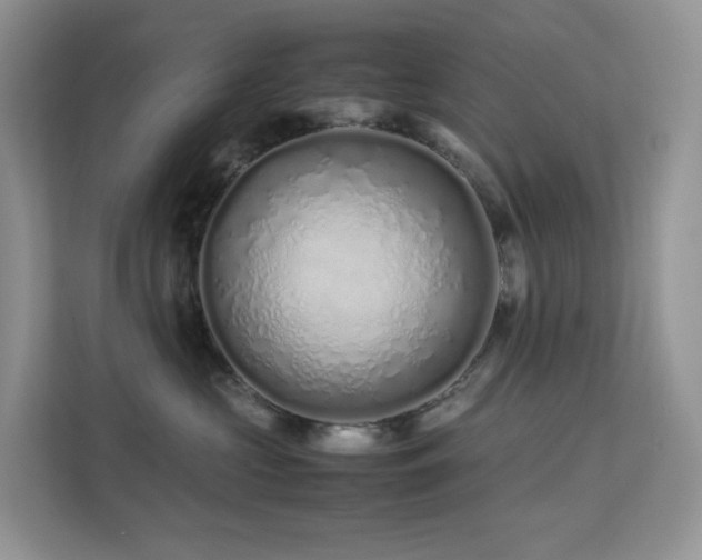 X0000112170573200908071201