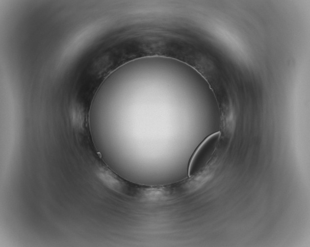 X0000112170574200908071201