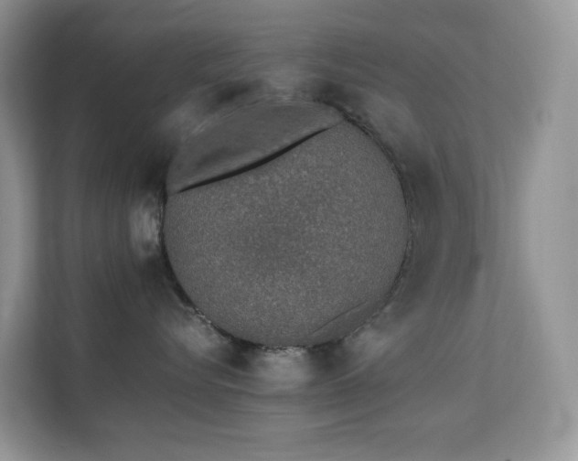 X0000112170576200908071201