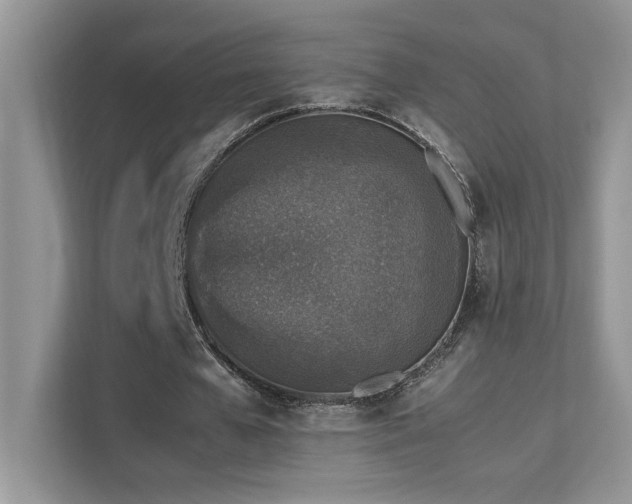 X0000112170577200908071200