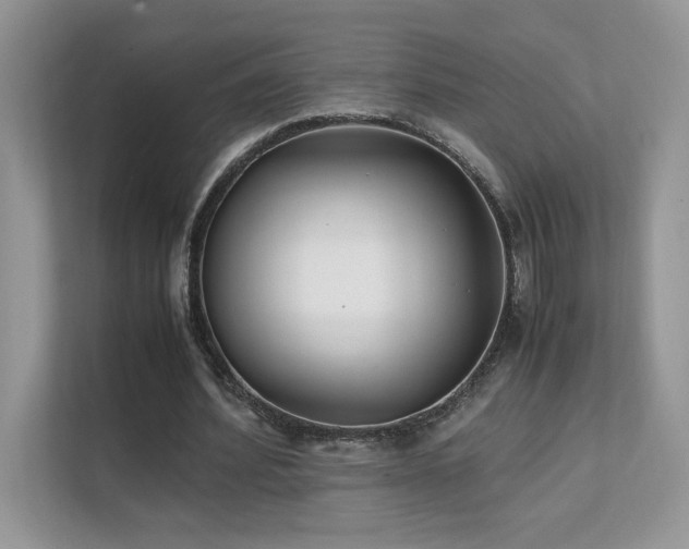 X0000112170580200908071200