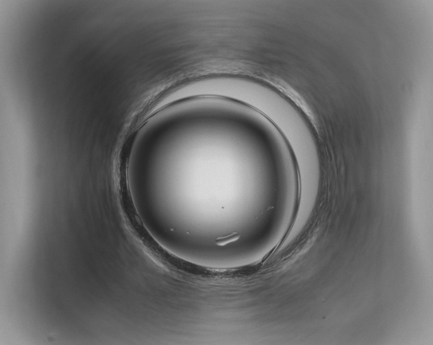 X0000112170581200908071200