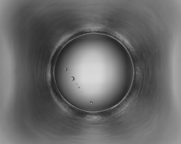 X0000112170582200908071200