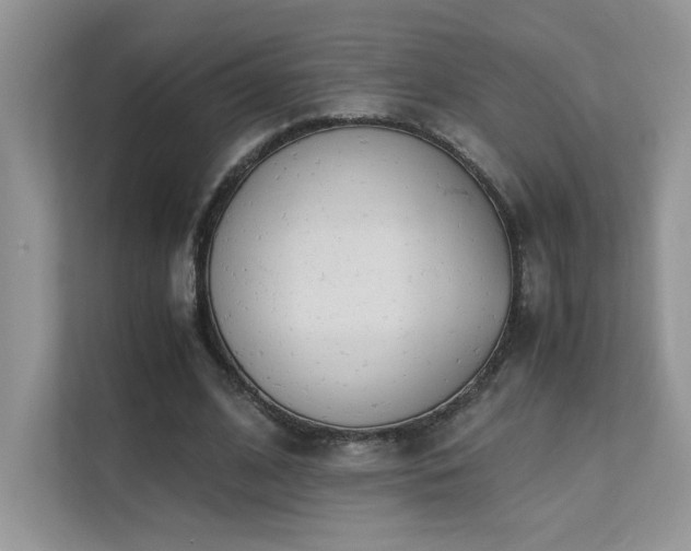 X0000112170584200908071200