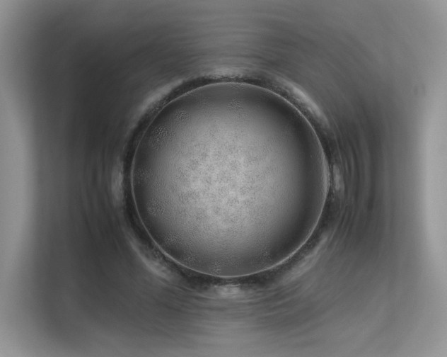 X0000112170588200908071200