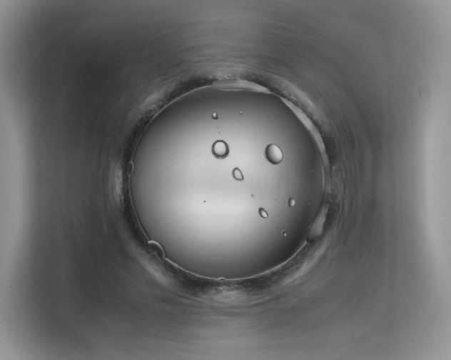 X0000112170589200908071200