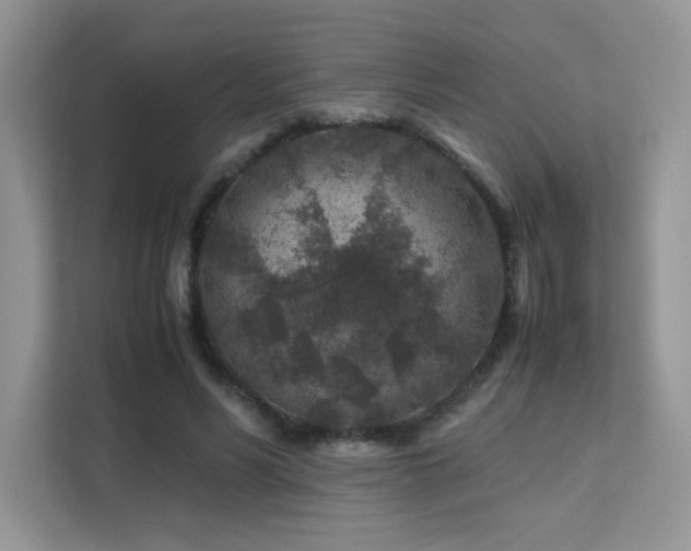 X0000112170590200908071200