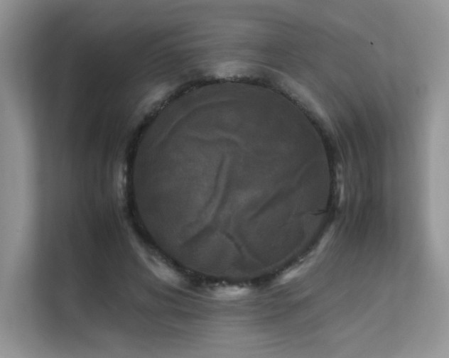 X0000112170592200908071200