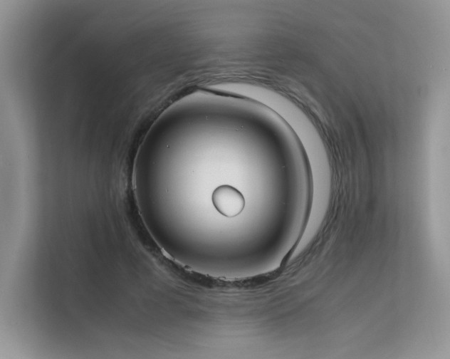 X0000112170593200908071200