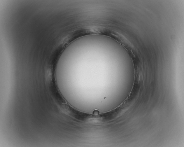 X0000112170595200908071200