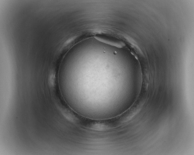 X0000112170596200908071200