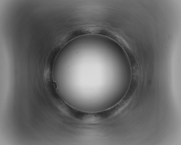 X0000112170597200908071200