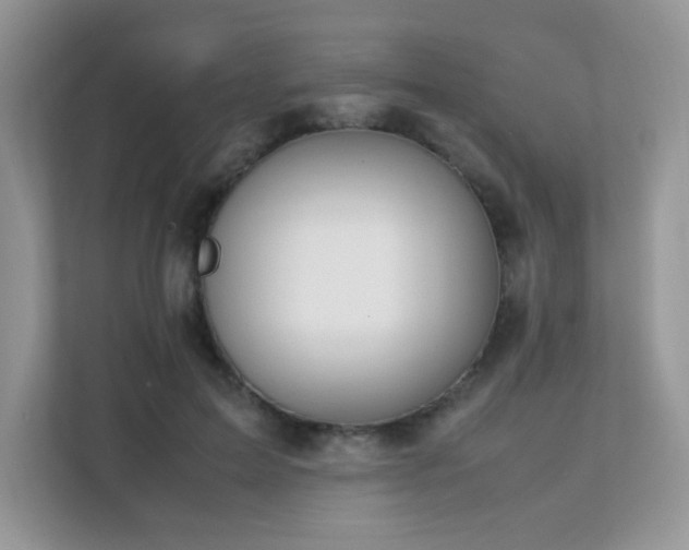 X0000112170599200908071200