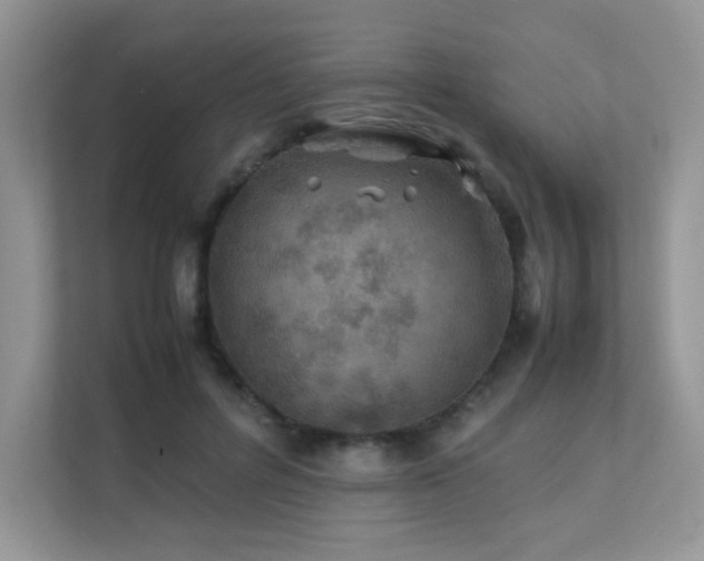 X0000112170600200908071200