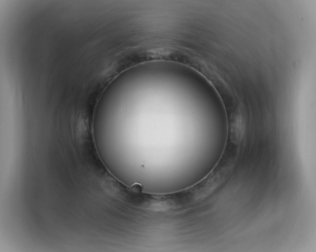 X0000112170608200908071159