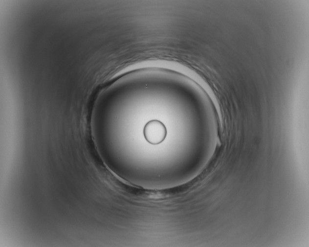 X0000112170611200908071159