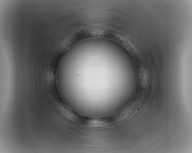 X0000112170614200908071159