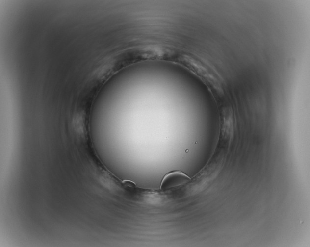 X0000112170616200908071159