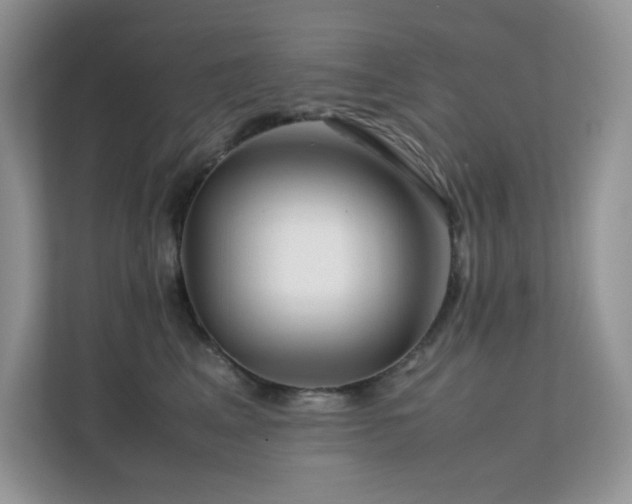 X0000112170617200908071159