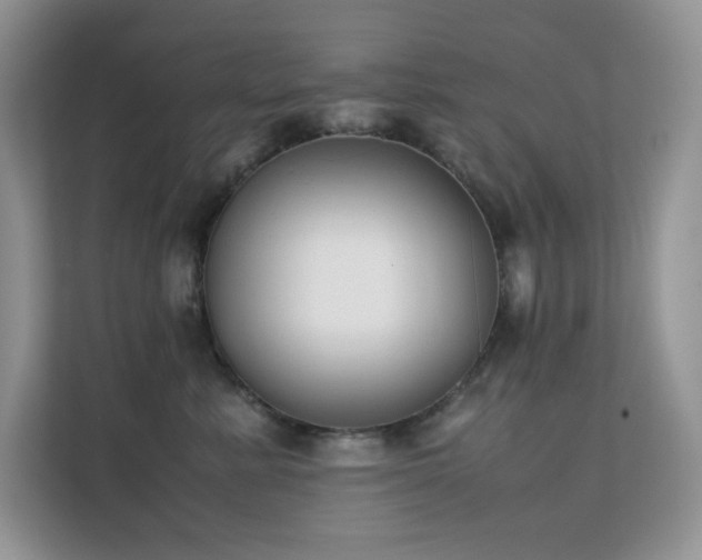 X0000112170619200908071159