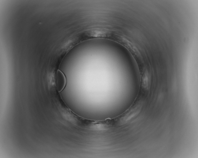 X0000112170620200908071159