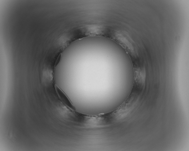 X0000112170621200908071159