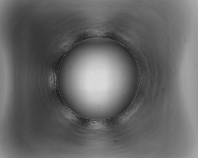 X0000112170624200908071159