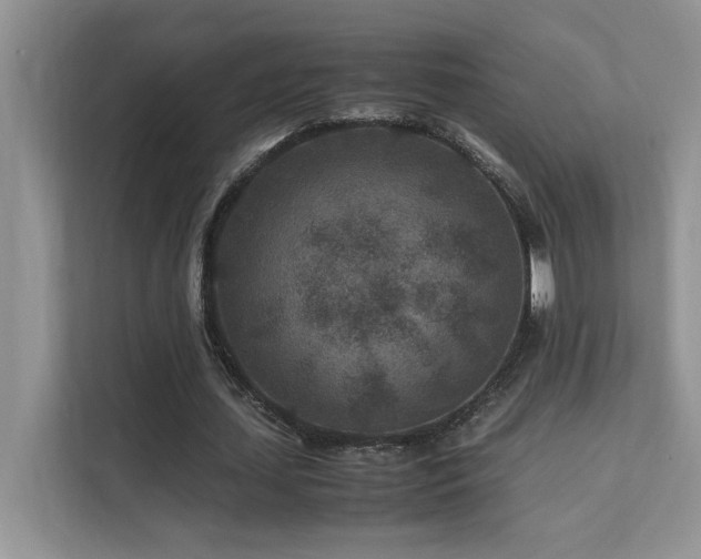 X0000112170627200908071159