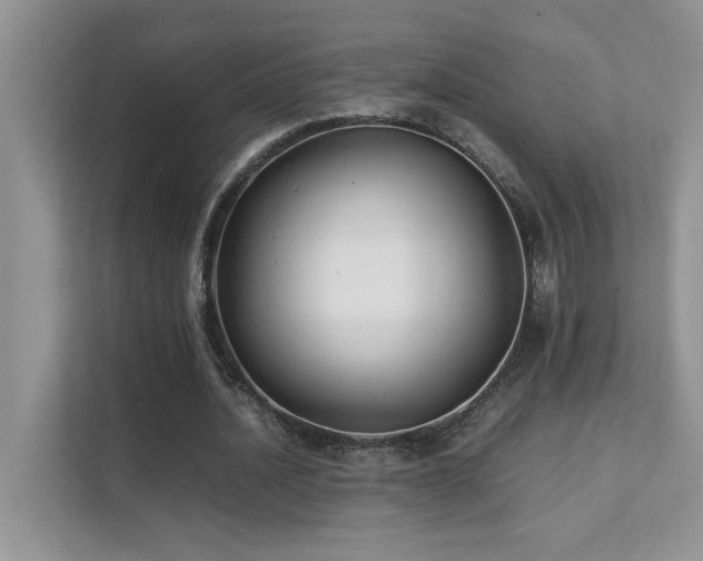 X0000112170628200908071159