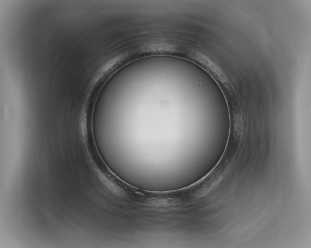 X0000112170629200908071159