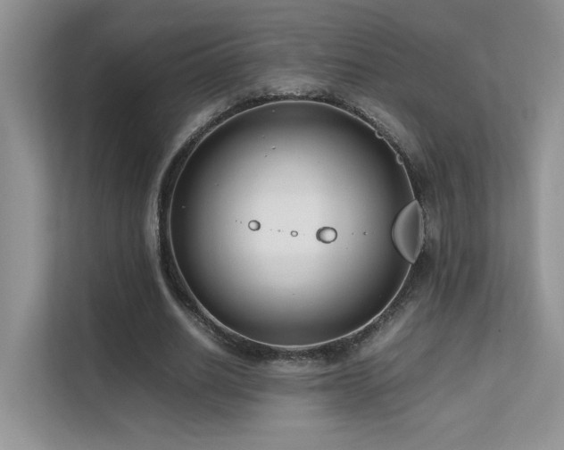 X0000112170630200908071159