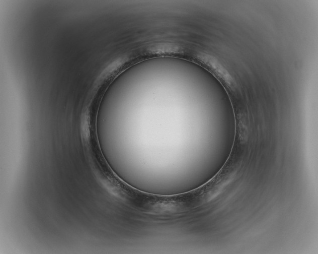 X0000112170631200908071159