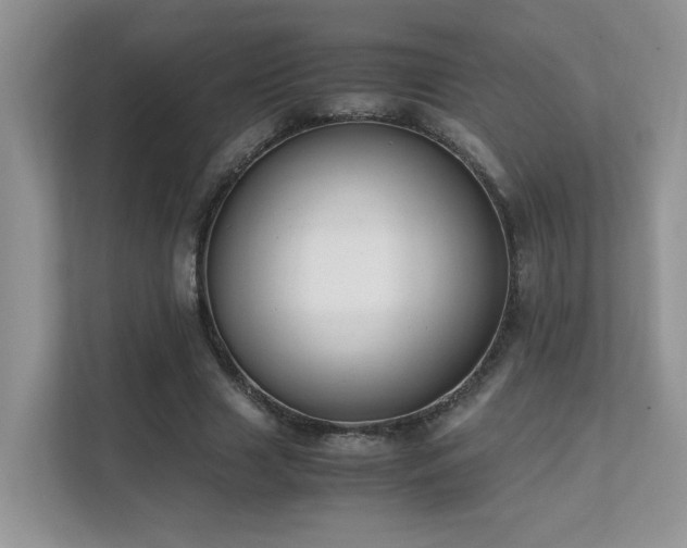 X0000112170633200908071159