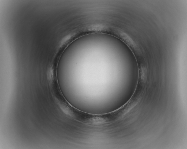 X0000112170636200908071159