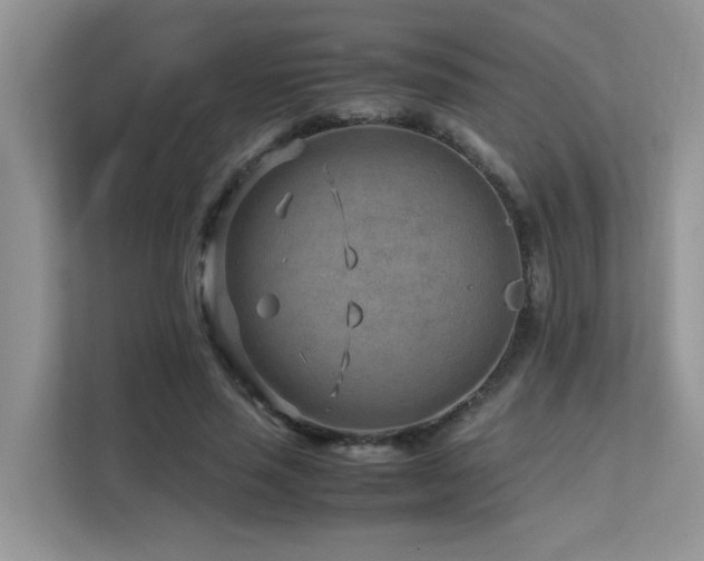 X0000112170637200908071159