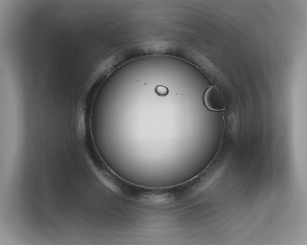 X0000112170638200908071159