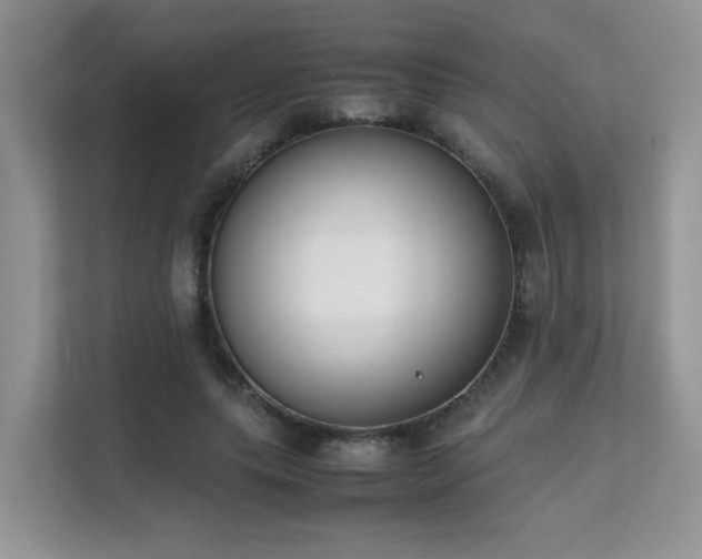 X0000112170639200908071159