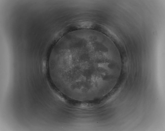 X0000112170641200908071159