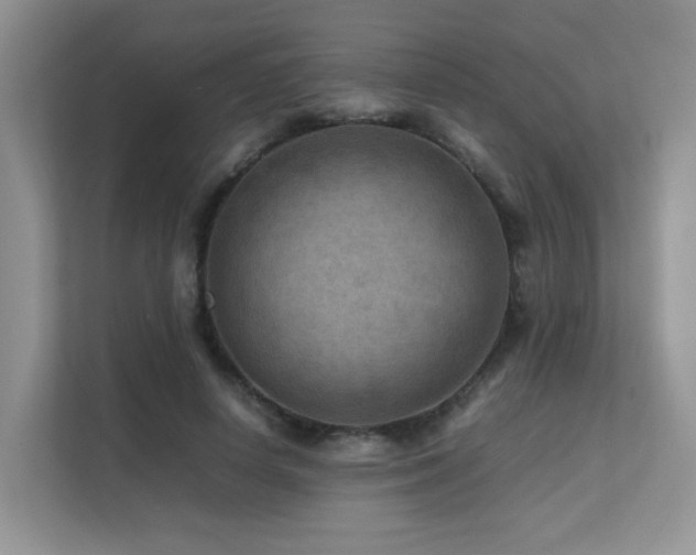 X0000112170642200908071159