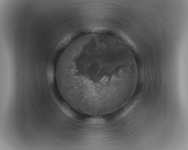 X0000112170644200908071159