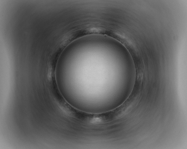 X0000112170647200908071159