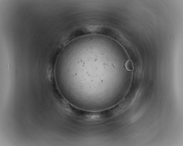 X0000112170651200908071159