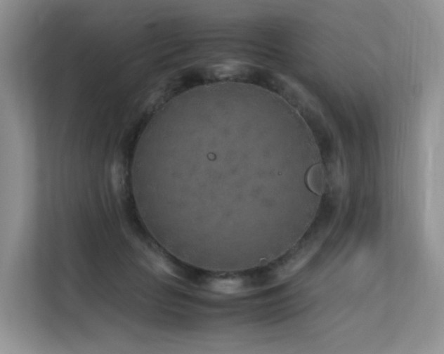 X0000112170653200908071159