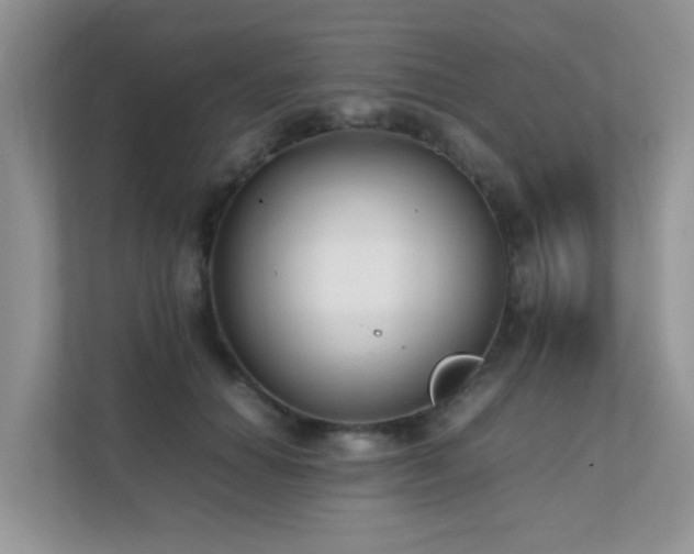 X0000112170654200908071159