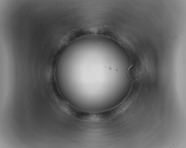 X0000112170656200908071159