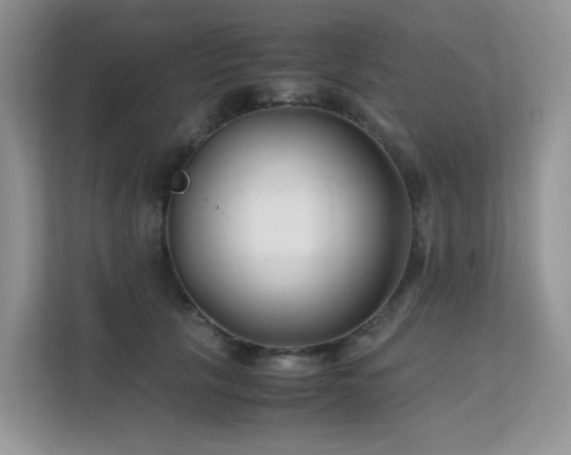 X0000112170657200908071159