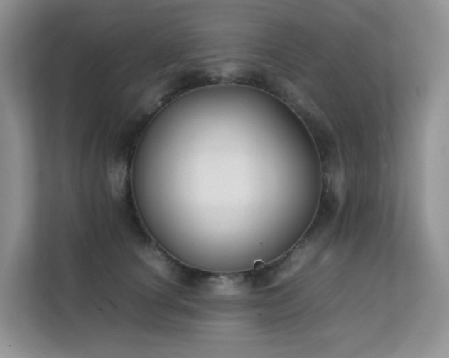 X0000112170660200908071159